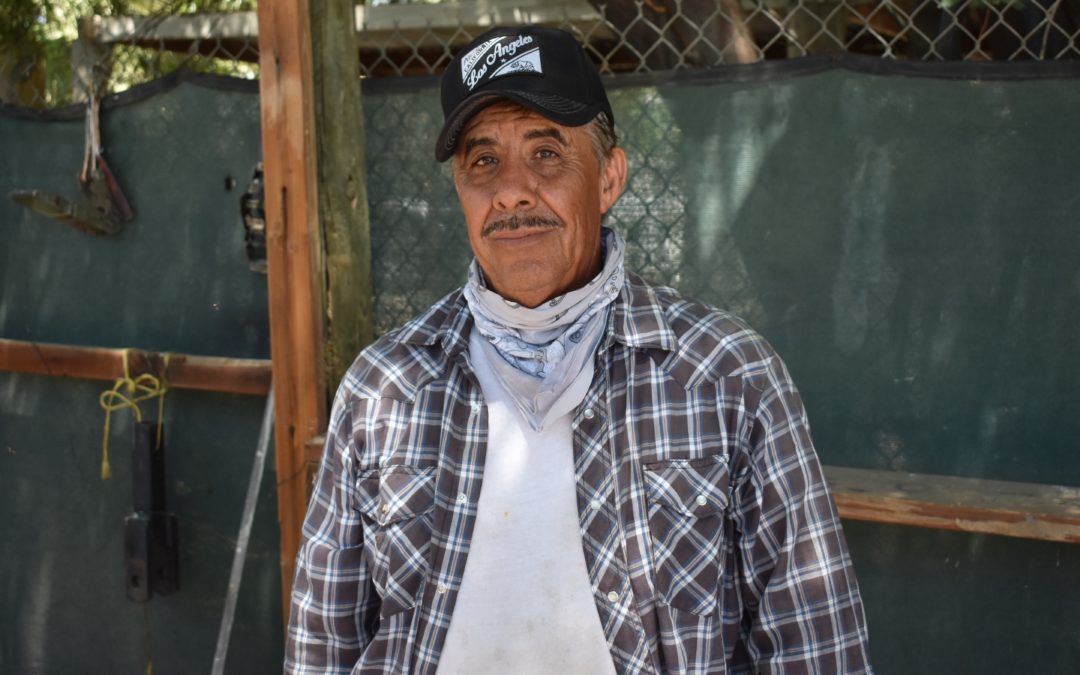 Mercado Campesinos gives food and hope to farmworkers
