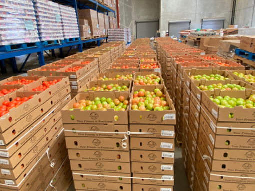 Programs & Services FIND Food Bank, FIND Food Distribution